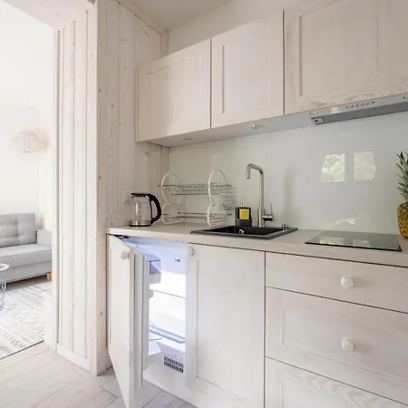 شقة Giewont View Apartamenty Z Widokiem - Butikowe & Sauna, Jacuzzi, Basen - Grunwaldzka Krupowki Centrum Zakopane By Rentilopl زاكوباني